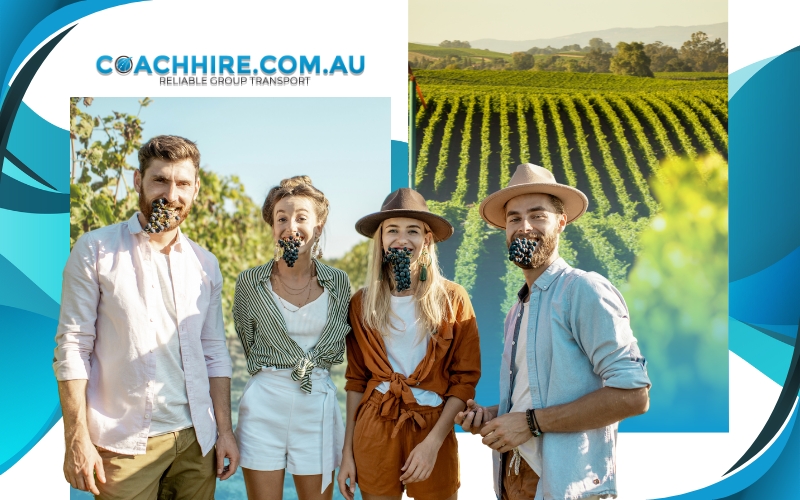 friends tasting wines together, wine tours, June 2024, Australia